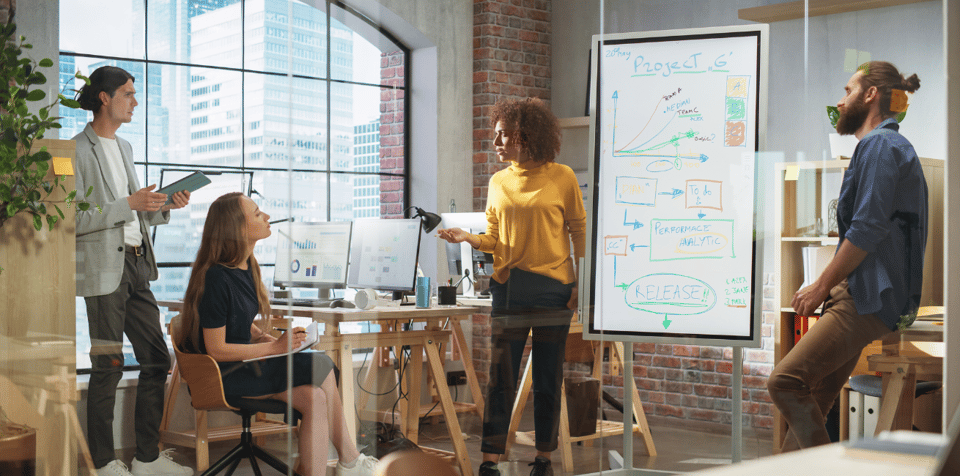 Finding Your Wings: Understanding Agile Transformation